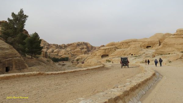 Petra and Wadi Rum 16