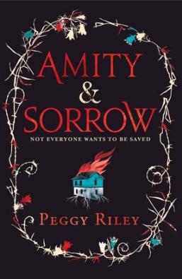 Amity-and-Sorrow